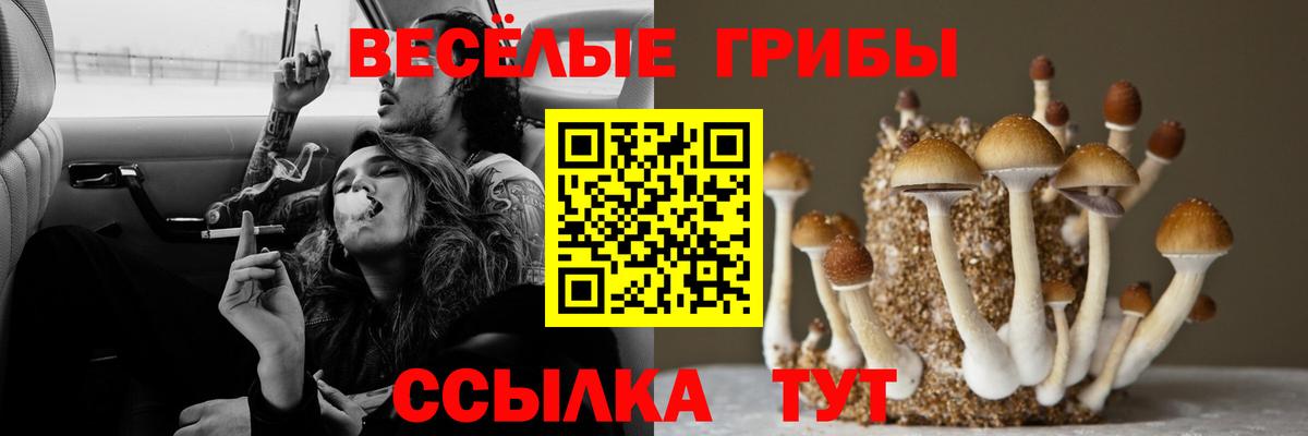 Киров  Псилоцибиновые грибы ЛСД  Вход с VPN 